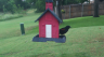 /Birds//Thumbs//found20250526-161428.png 