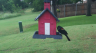 /Birds//Thumbs//found20250526-161554.png 