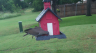 /Birds//Thumbs//found20250526-162323.png 