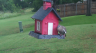 /Birds//Thumbs//found20250526-164640.png 