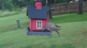/Birds//Thumbs//found20250526-170821.png 