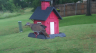 /Birds//Thumbs//found20250526-170926.png 