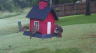 /Birds//Thumbs//found20250527-065039.png 