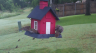 /Birds//Thumbs//found20250527-065043.png 