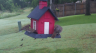 /Birds//Thumbs//found20250527-065046.png 