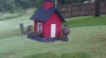 /Birds//Thumbs//found20250527-065052.png 