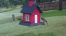 /Birds//Thumbs//found20250527-065822.png 