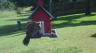 /Birds//Thumbs//found20250527-103846.png 