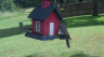 /Birds//Thumbs//found20250527-113330.png 