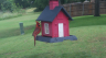 /Birds//Thumbs//found20250527-114827.png 