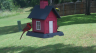 /Birds//Thumbs//found20250527-122036.png 