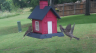 /Birds//Thumbs//found20250527-130636.png 