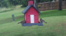 /Birds//Thumbs//found20250527-131137.png 