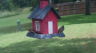 /Birds//Thumbs//found20250527-131232.png 