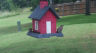 /Birds//Thumbs//found20250527-131242.png 