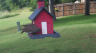 /Birds//Thumbs//found20250527-154422.png 
