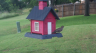 /Birds//Thumbs//found20250527-180535.png 