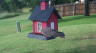 /Birds//Thumbs//found20250527-181041.png 