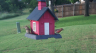 /Birds//Thumbs//found20250527-190339.png 