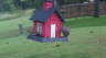 /Birds//Thumbs//found20250528-070527.png 