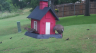 /Birds//Thumbs//found20250528-070534.png 