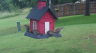 /Birds//Thumbs//found20250528-083531.png 