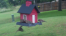 /Birds//Thumbs//found20250528-083930.png 