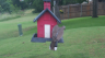 /Birds//Thumbs//found20250528-101329.png 