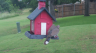/Birds//Thumbs//found20250528-101606.png 