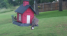 /Birds//Thumbs//found20250528-101733.png 