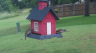 /Birds//Thumbs//found20250528-112315.png 