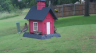 /Birds//Thumbs//found20250528-125700.png 