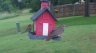/Birds//Thumbs//found20250528-131221.png 