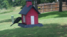 /Birds//Thumbs//found20250528-141234.png 