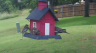/Birds//Thumbs//found20250528-143008.png 