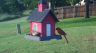 /Birds//Thumbs//found20250528-191538.png 