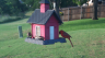 /Birds//Thumbs//found20250528-191550.png 