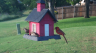 /Birds//Thumbs//found20250528-191553.png 