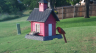 /Birds//Thumbs//found20250528-191635.png 