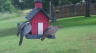 /Birds//Thumbs//found20250529-110854.png 