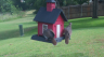 /Birds//Thumbs//found20250529-110910.png 