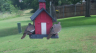 /Birds//Thumbs//found20250529-110917.png 