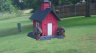/Birds//Thumbs//found20250529-110927.png 
