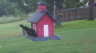 /Birds//Thumbs//found20250603-063651.png 