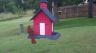 /Birds//Thumbs//found20250608-201347.png 