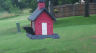 /Birds//Thumbs//found20250610-140722.png 