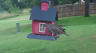 /Birds//Thumbs//found20250610-163147.png 