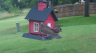 /Birds//Thumbs//found20250610-163149.png 