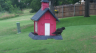 /Birds//Thumbs//found20250610-175959.png 