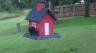 /Birds//Thumbs//found20250610-180122.png 